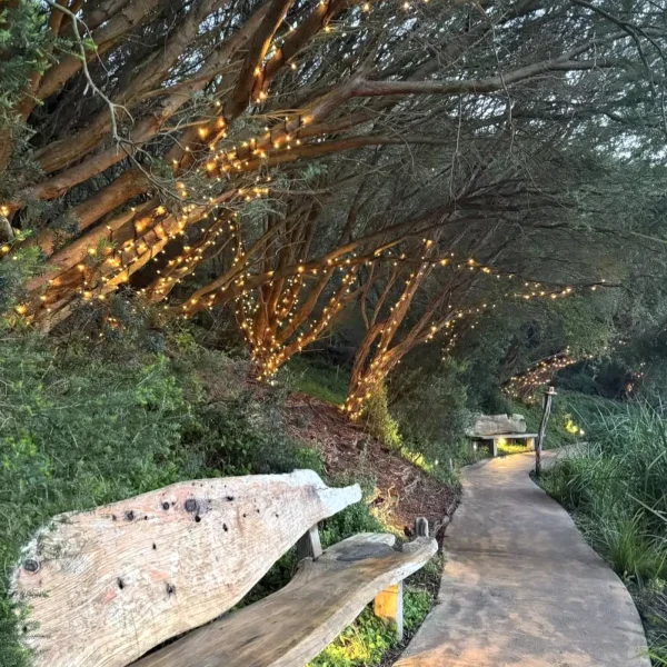 mornington peninsula tour from melbourne