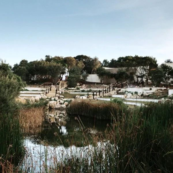 mornington peninsula tour