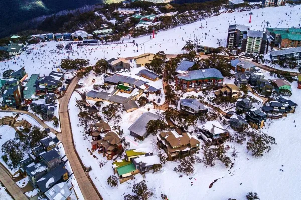 mount buller day tour from melbourne