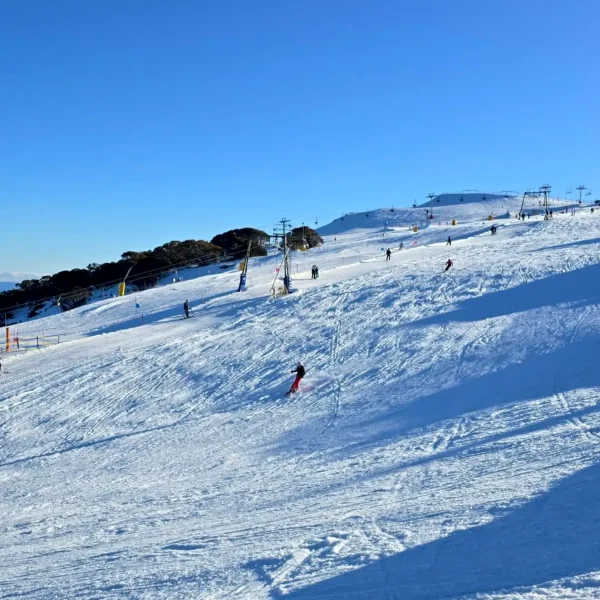 mount buller day tour