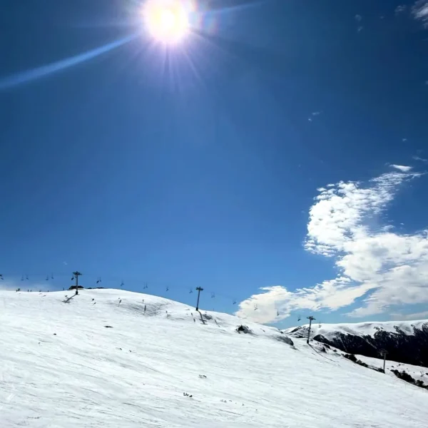 mount buller day trip from melbourne
