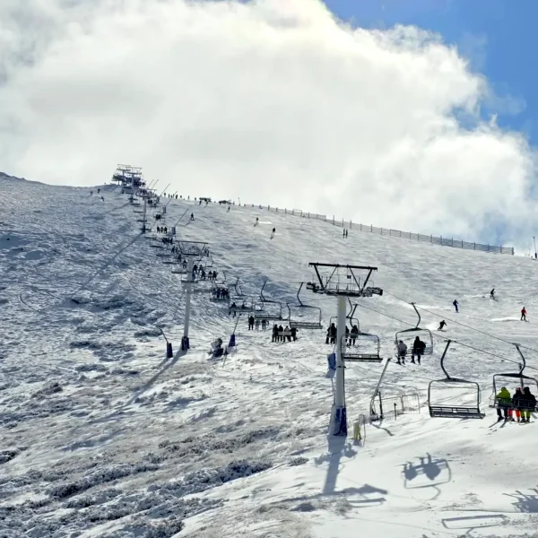 mount buller day trip