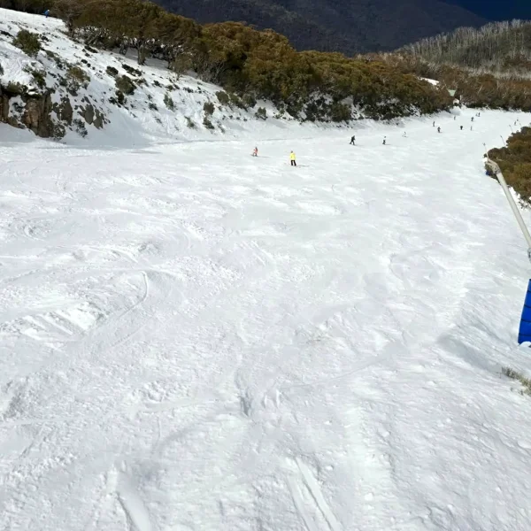 mount buller snow tour