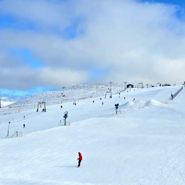 mount buller tour from melbourne