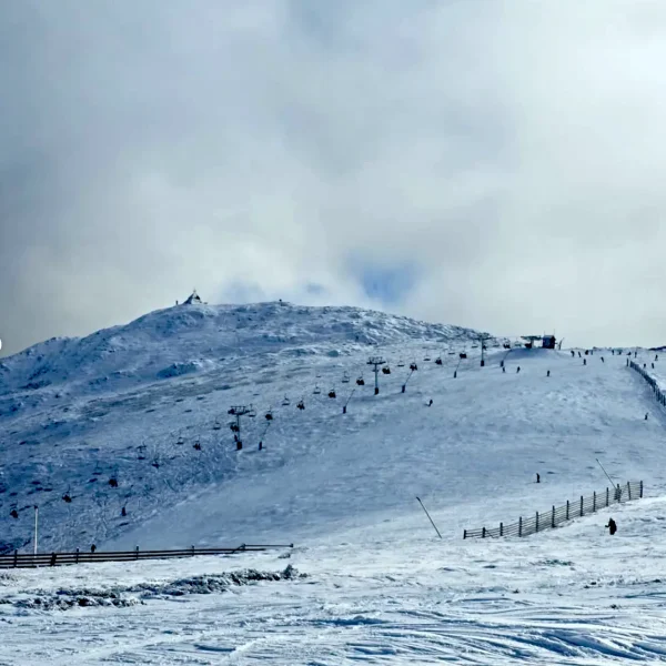 mount buller tour