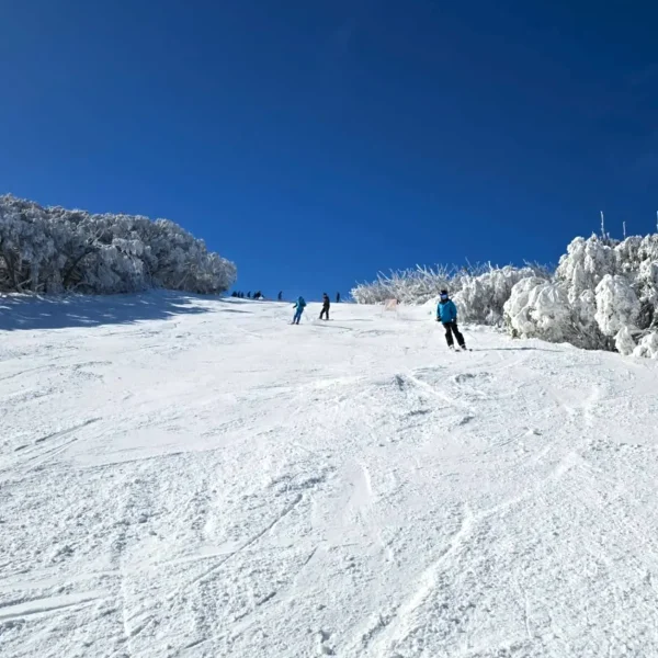 mount buller trip