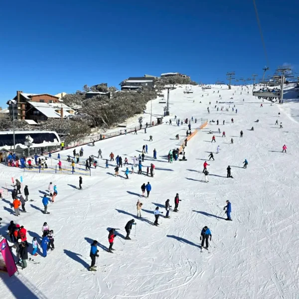 mount buller trips