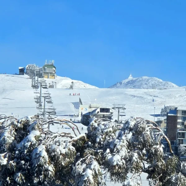 mt buller day tour