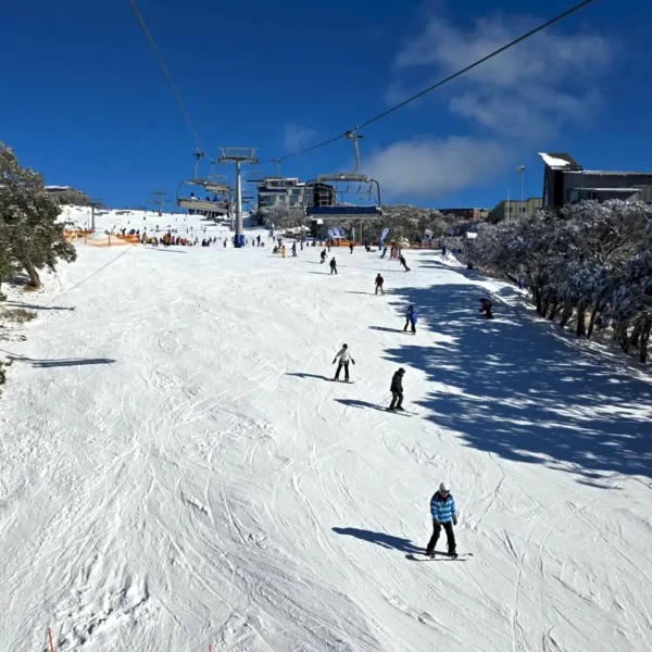 mt buller day trip package