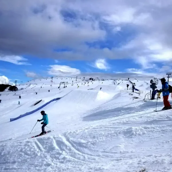 mt buller day trip