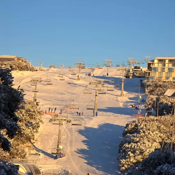mt buller tours