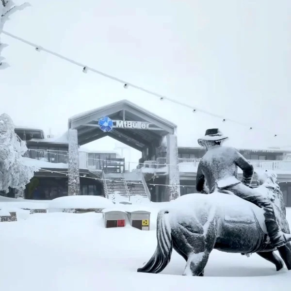 mt buller trip from melbourne