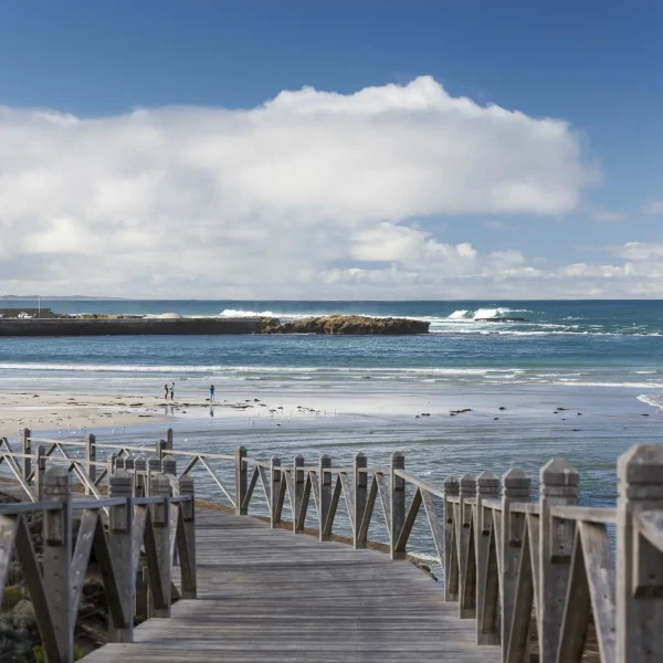 one day great ocean road tour