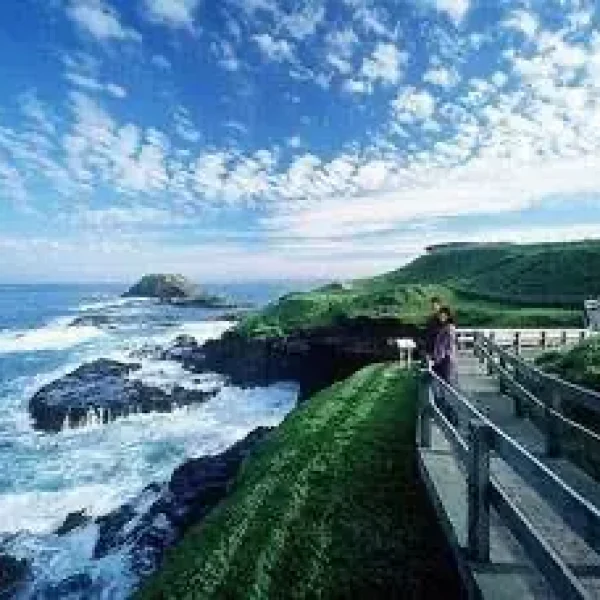 penguin tour phillip island