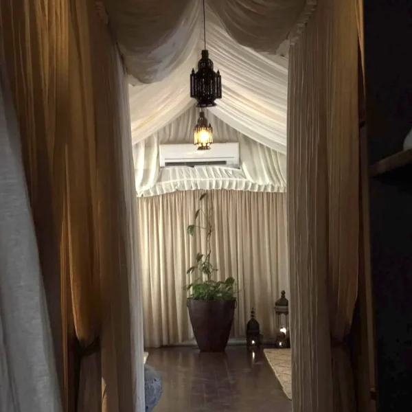 peninsula hot springs day tour