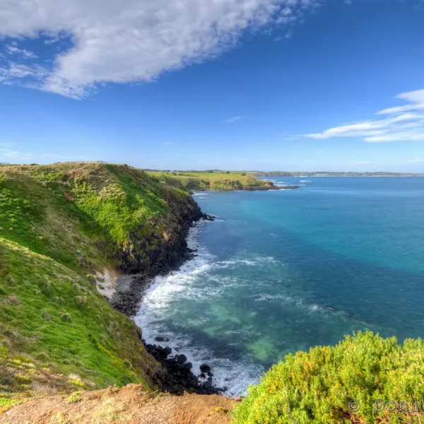 phillip island day tour from melbourne