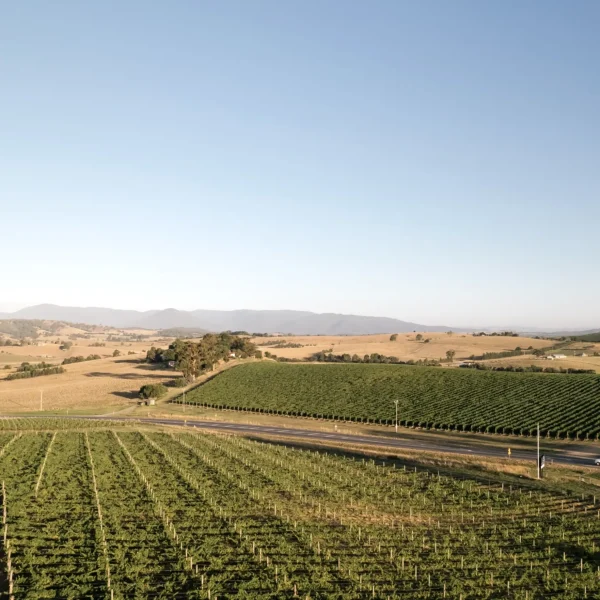 private wine tours yarra valley