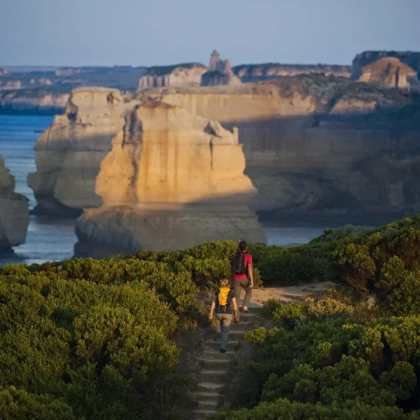 tour great ocean road
