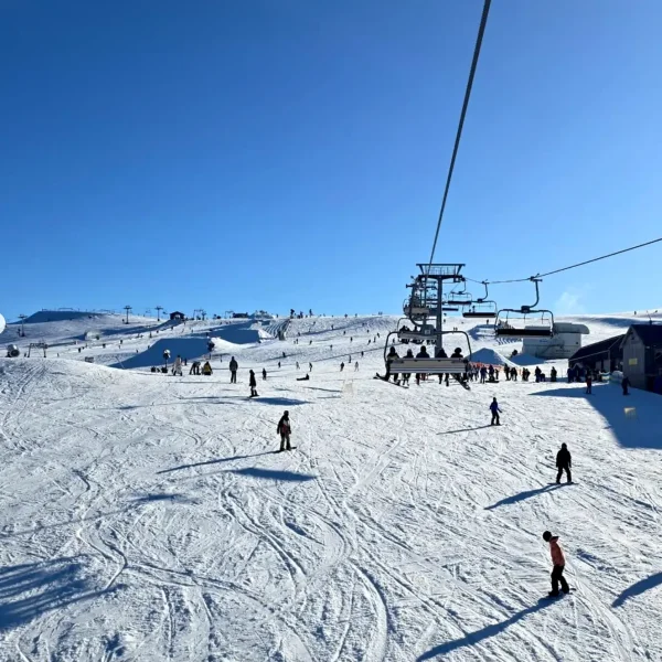 tour mount buller