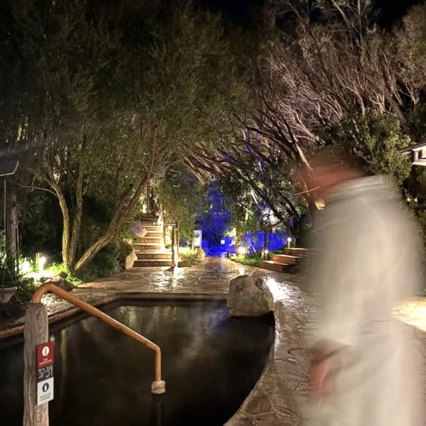 tours in mornington peninsula