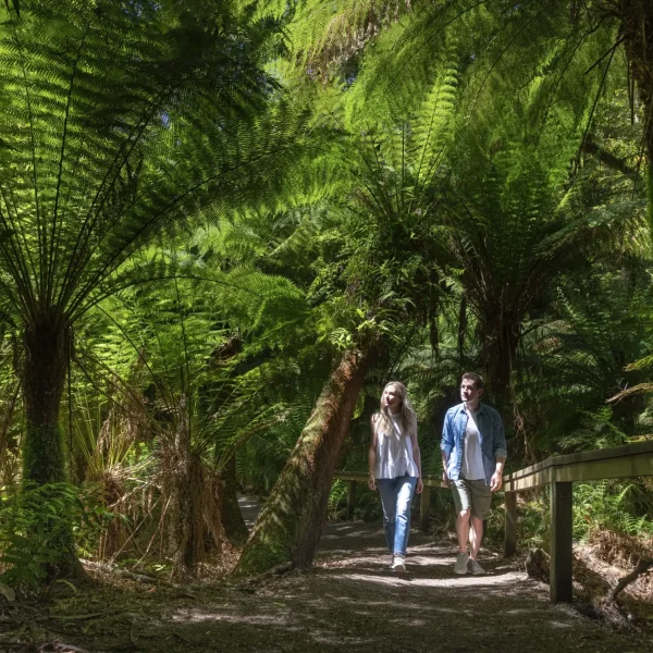 tours of great ocean road