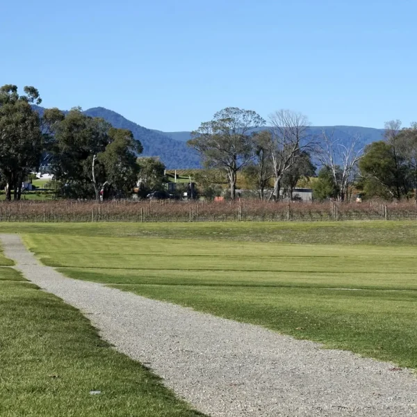 wine tours melbourne