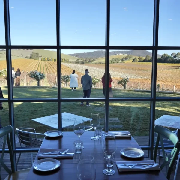 wine tours
