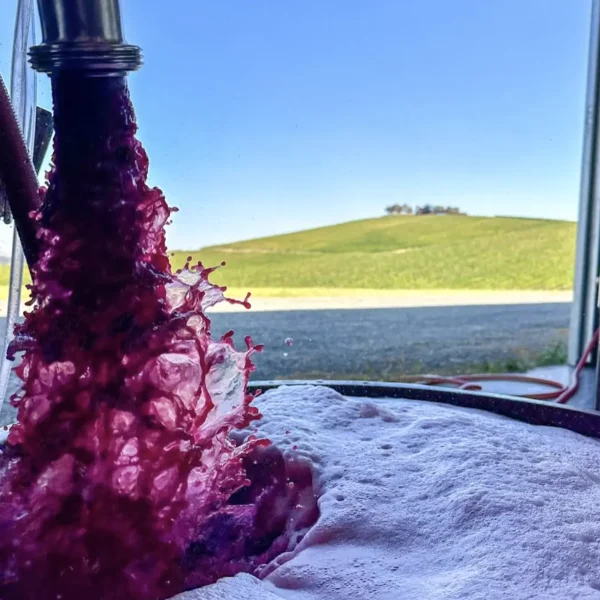 wine tours yarra valley