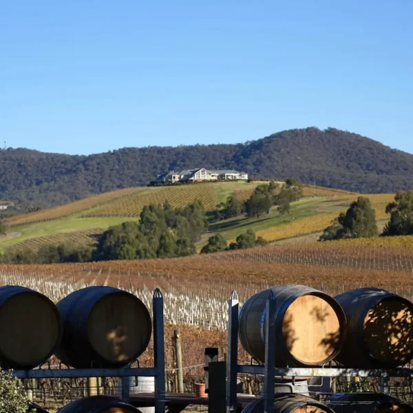 winery tour yarra valley