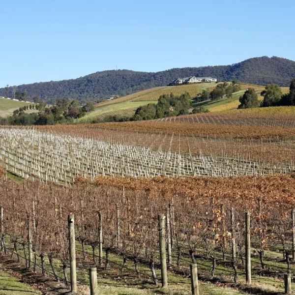 yarra valley day tour