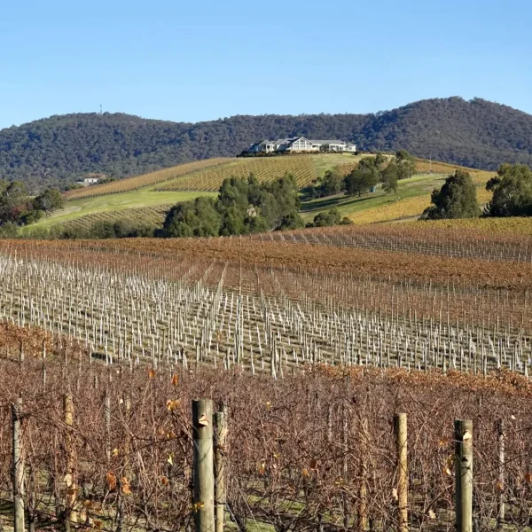 yarra valley day trip