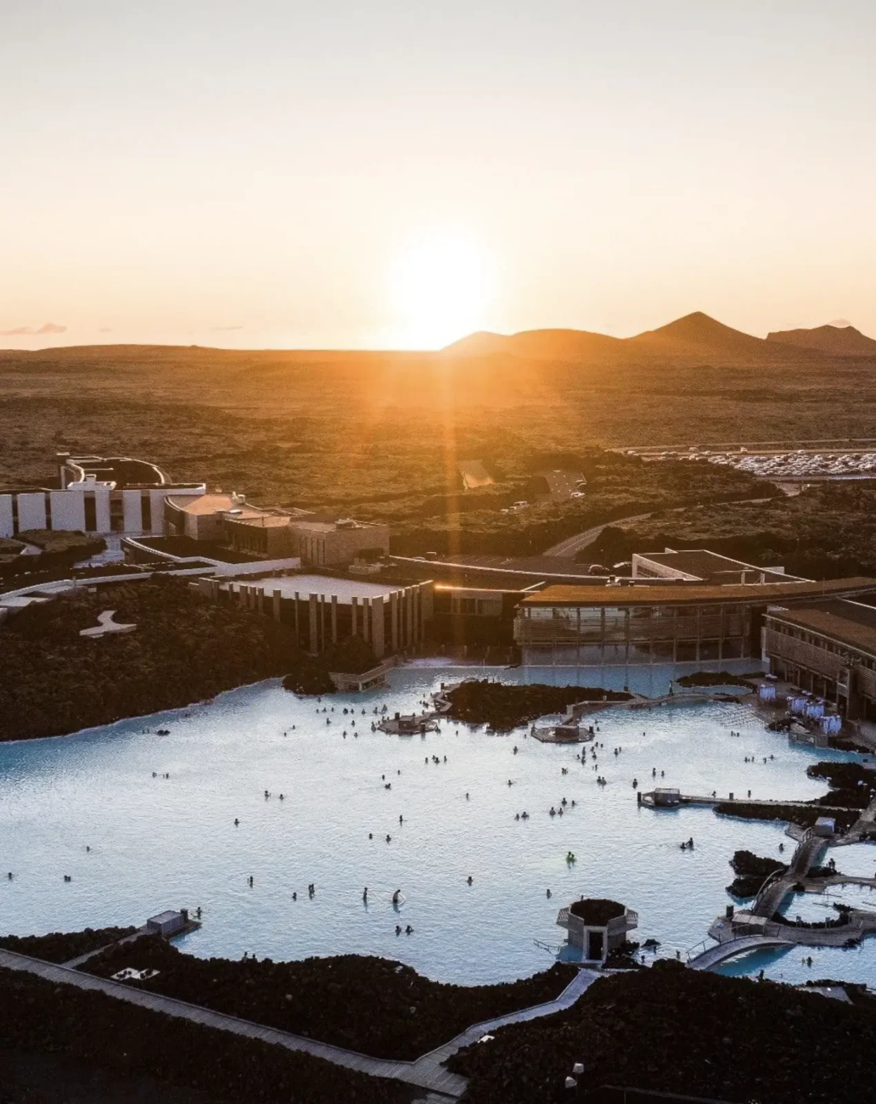 mornington peninsula day tour