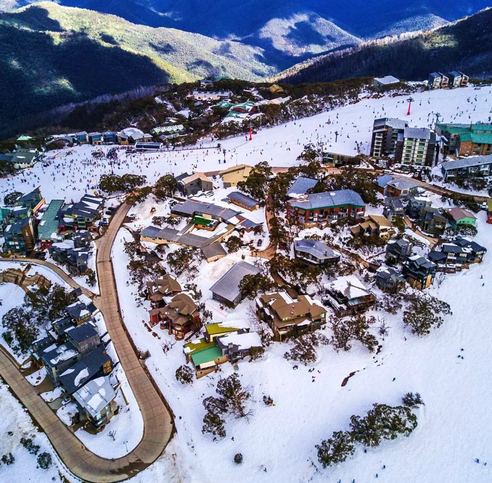 mount buller day tour from melbourne